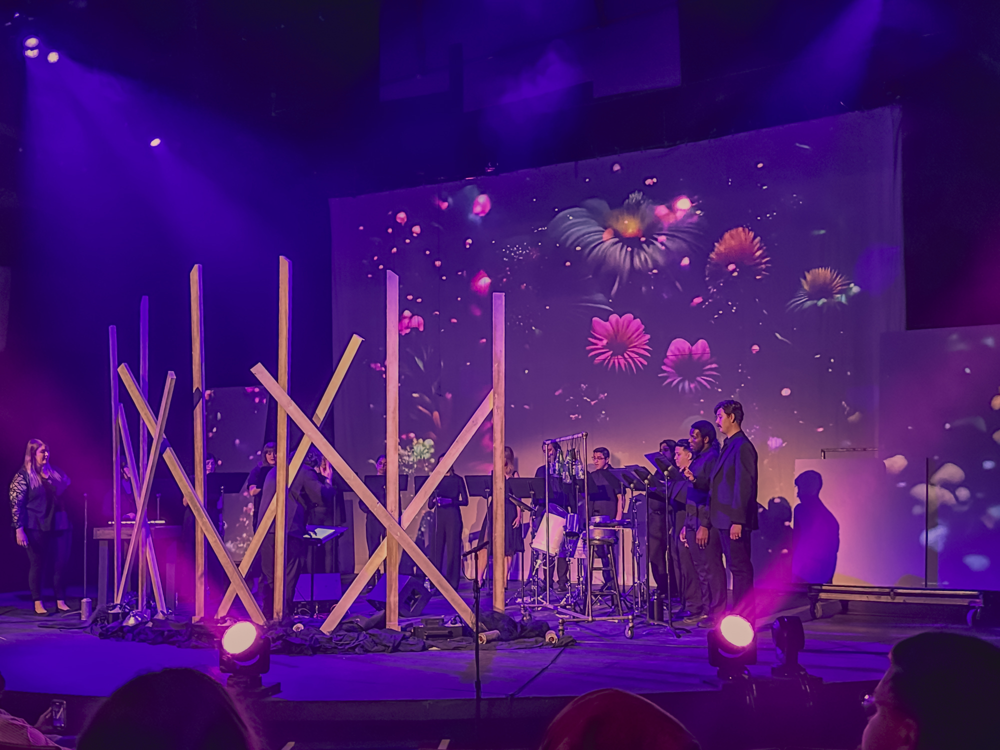 Vertigris Ensemble performing Mis-Led