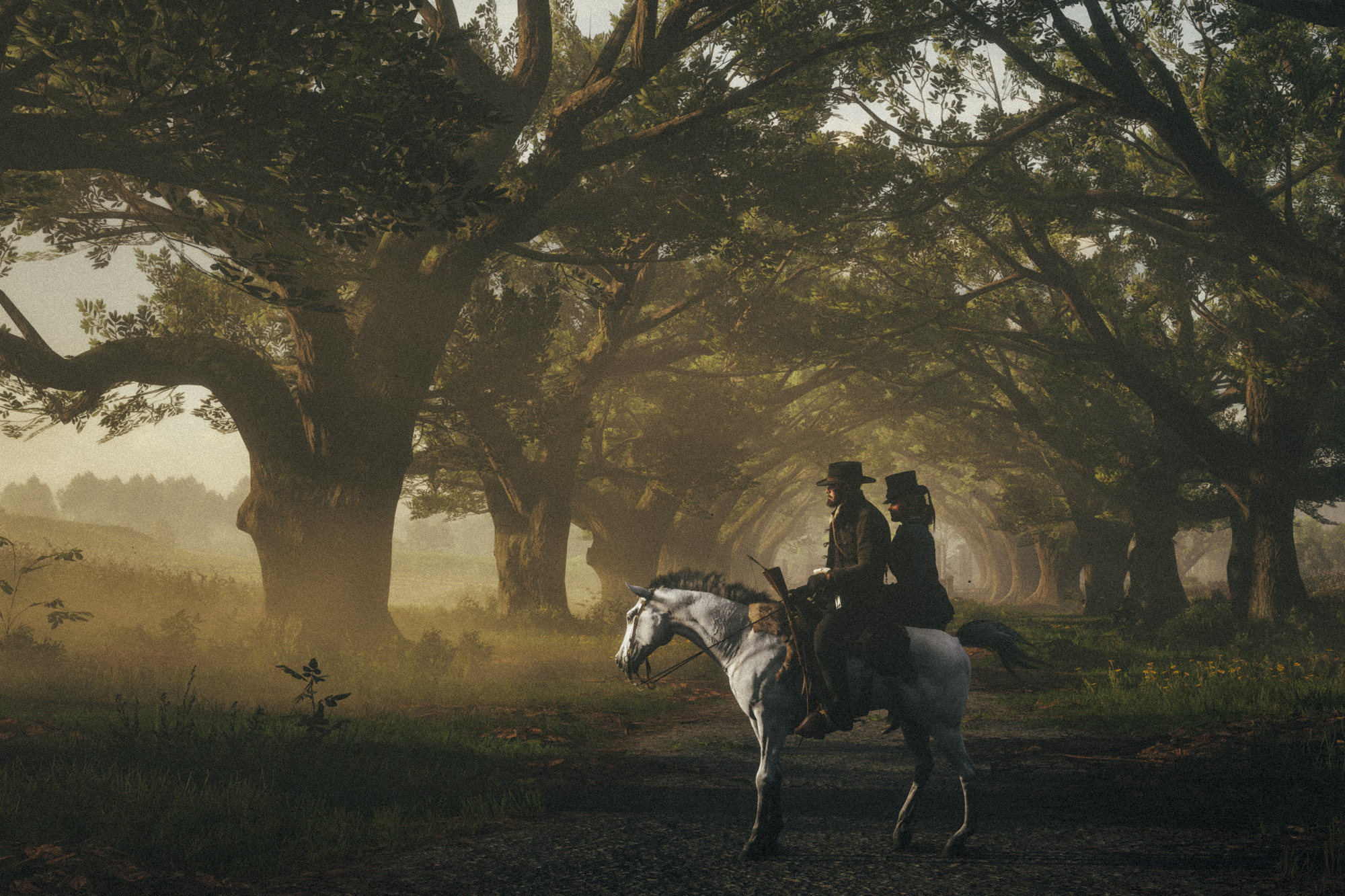 Red Dead Redemption 2 Virtual Photography
