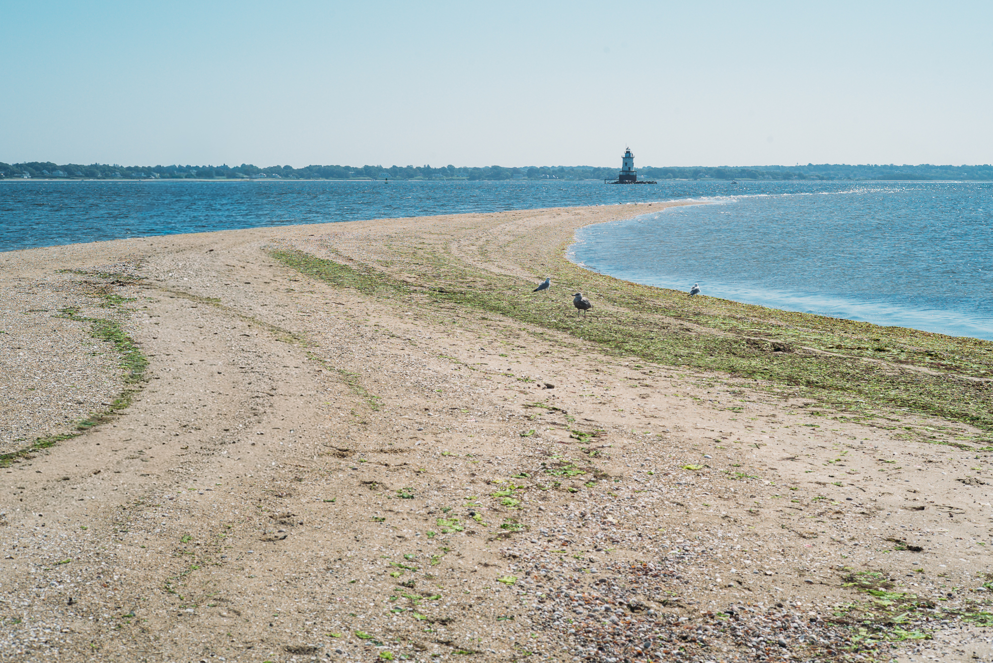 A beach in Conimicut Point, Warwick